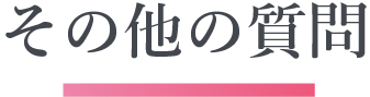 その他の質問