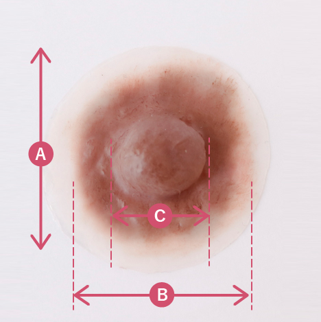 人工ニップルサイズ