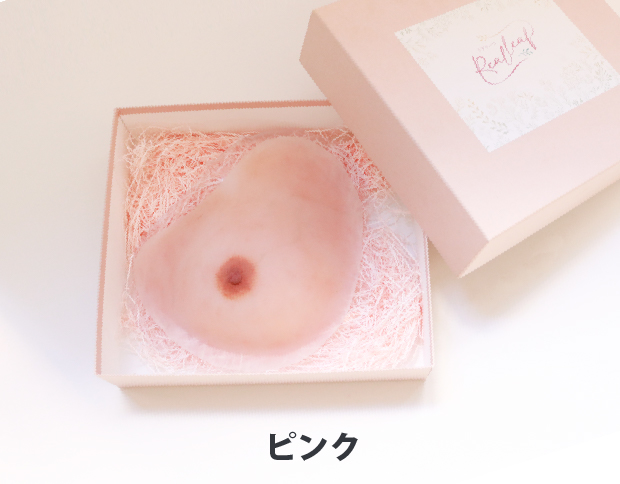 人工乳房リアリーフ専用ボックス（ピンク）