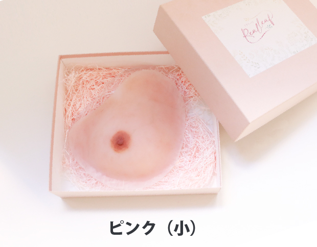 人工乳房リアリーフ専用ボックス（ピンク・小）