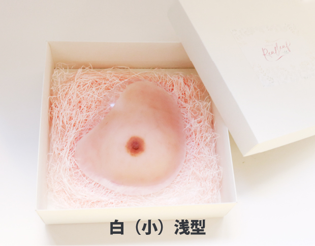 人工乳房リアリーフ専用ボックス（白・小）