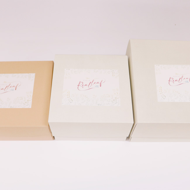 人工乳房リアリーフ専用ボックス（3種類）