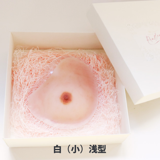 人工乳房リアリーフ専用ボックス（白・小）