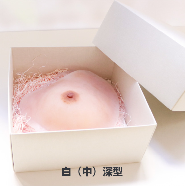 人工乳房リアリーフ専用ボックス（白・中）